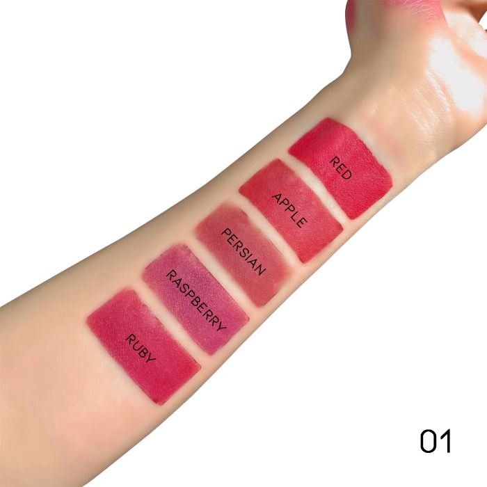 5in1 Bullet Lipstick Pen Make-up Every Day And Night 