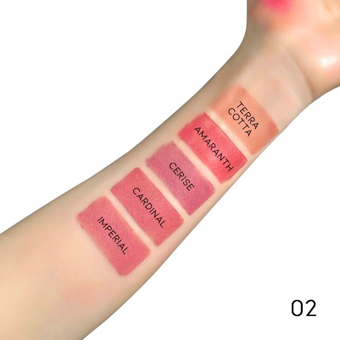 5in1 Bullet Lipstick Pen Make-up Every Day And Night 