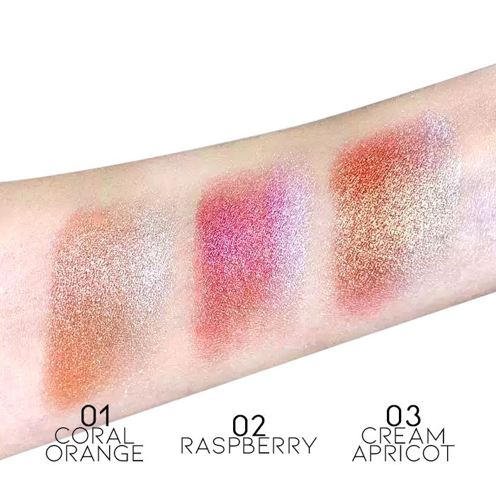 HighShine Gradient Blush Make-up Every Day And Night 