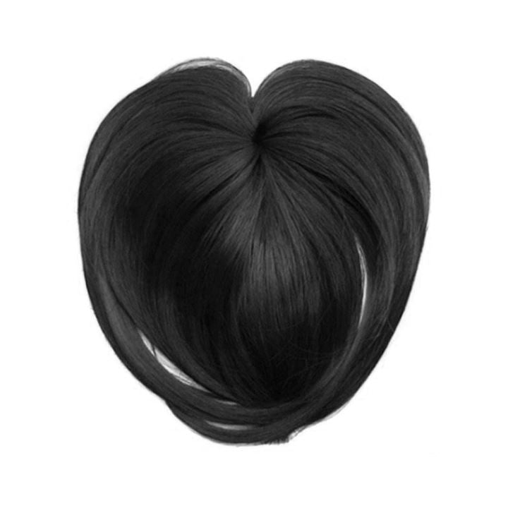 Natural Clip-In Hair Topper Morning Shades Black 