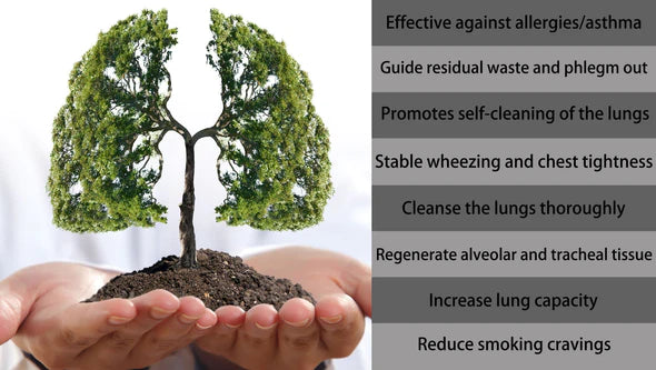 OnNature® Organic Herbal Lung Cleanse Repair Nasenspray