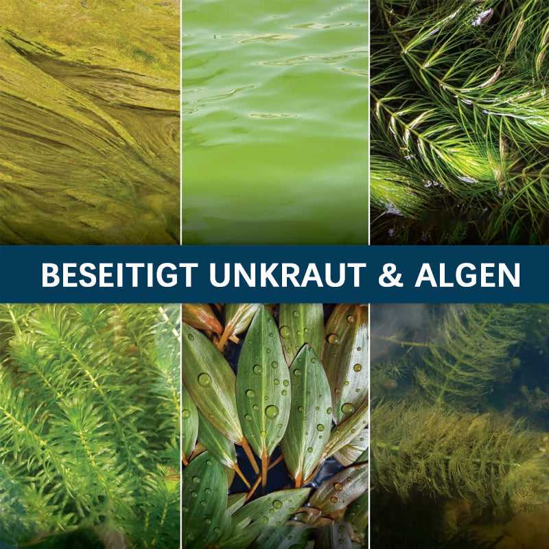 Fivfivgo™ Algizid für Aquarien