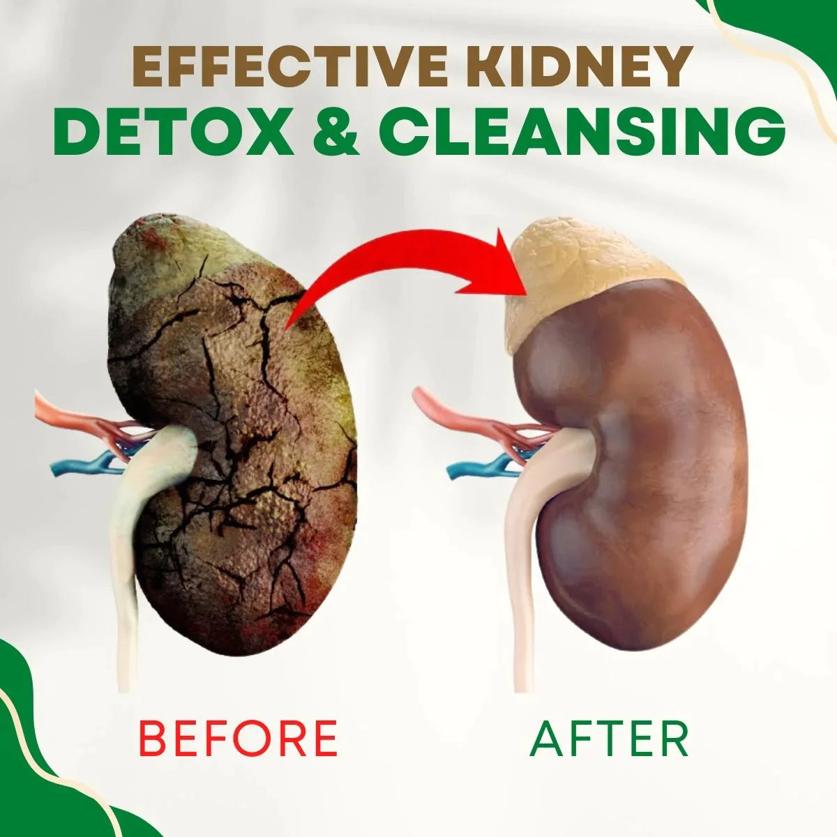 PureCleanse™ Nierenunterstützendes Kräuterfußbad