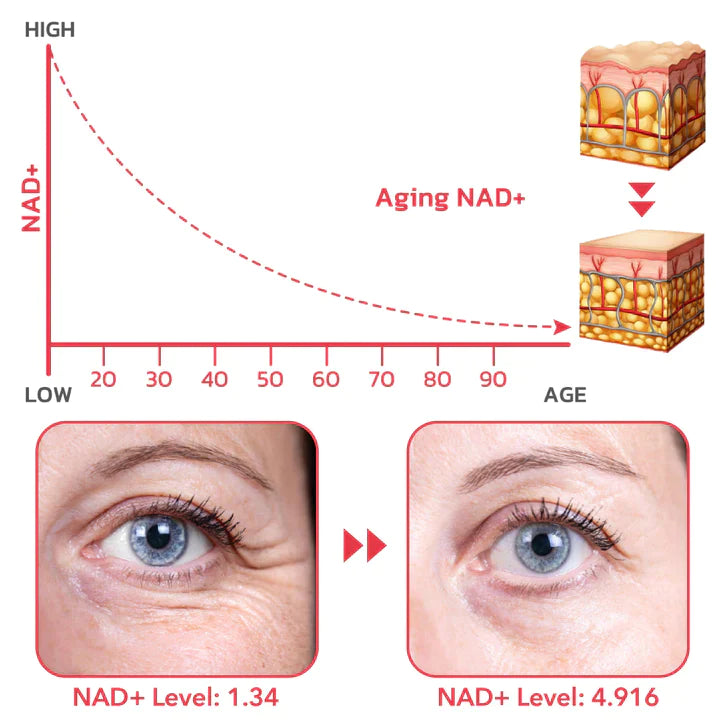 Youthcode™ NMN & Ceramide Alterndes Gesichtsserum