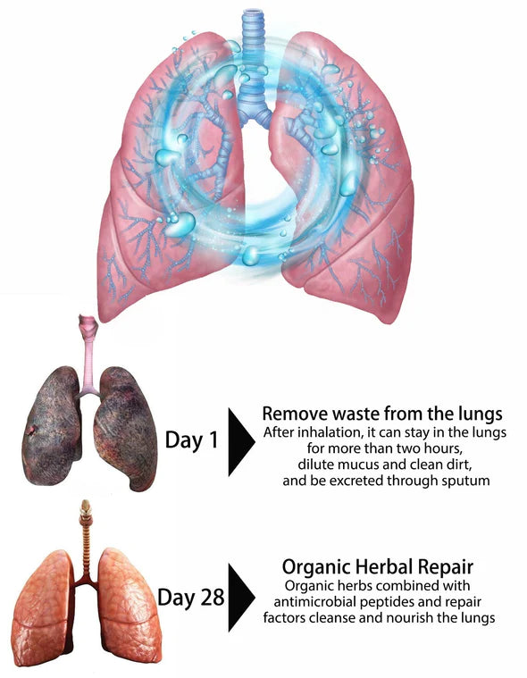 OnNature® Organic Herbal Lung Cleanse Repair Nasal Spray