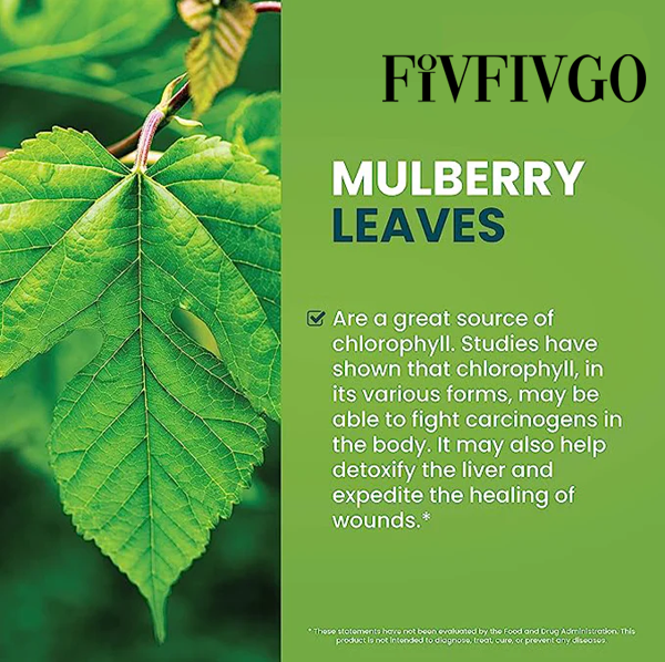 Fivfivgo™ Chlorophyll Liquid Natürliche Detox- und Blutzucker-Unterstützungstropfen