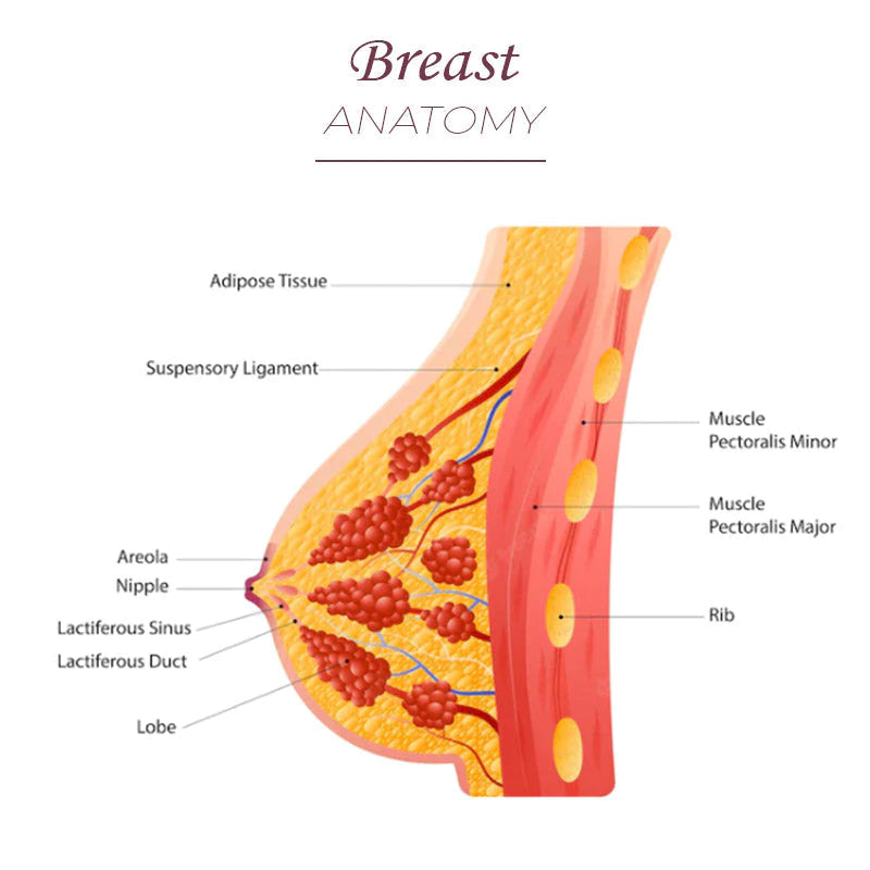 BreastPowerful LifitingPlumping Cream