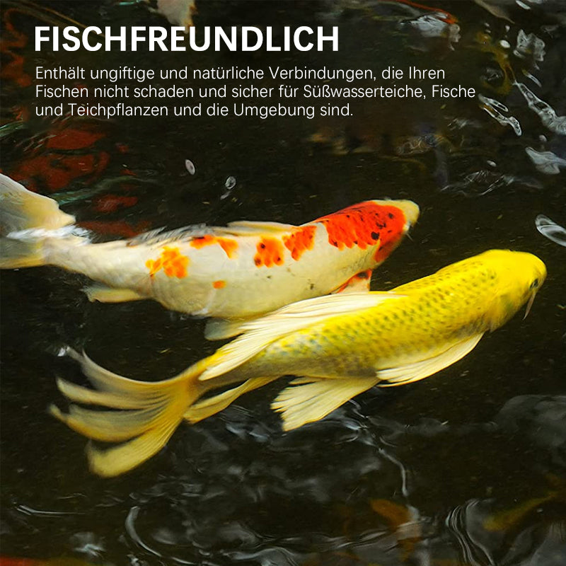 Fivfivgo™ Algizid für Aquarien
