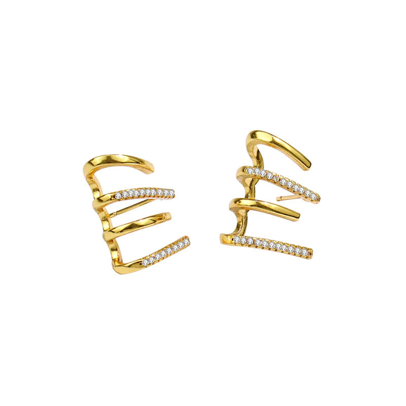 EarShape™ PLUS LymphTherapy Detox Schlankheits-Ohrringe