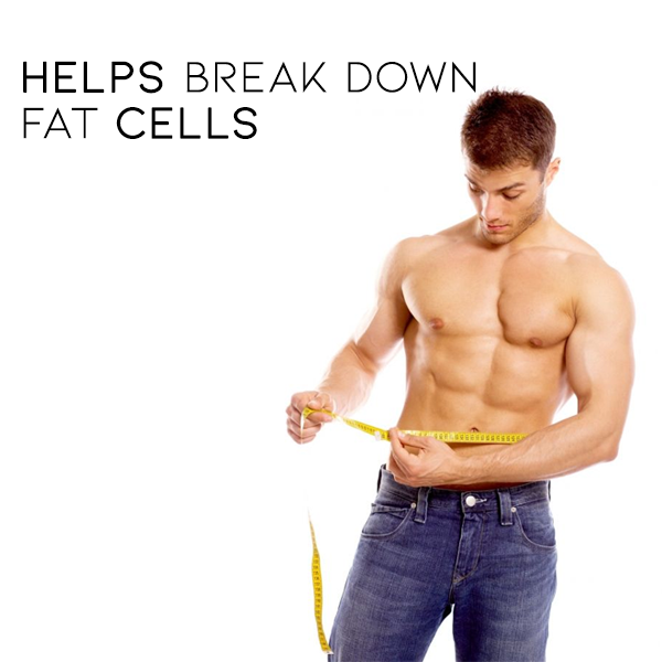 ForMEN EMS-Brusttrainer