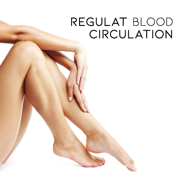 ReduceSwell Obsidian-Magnetfeldtherapie-Fußkettchen