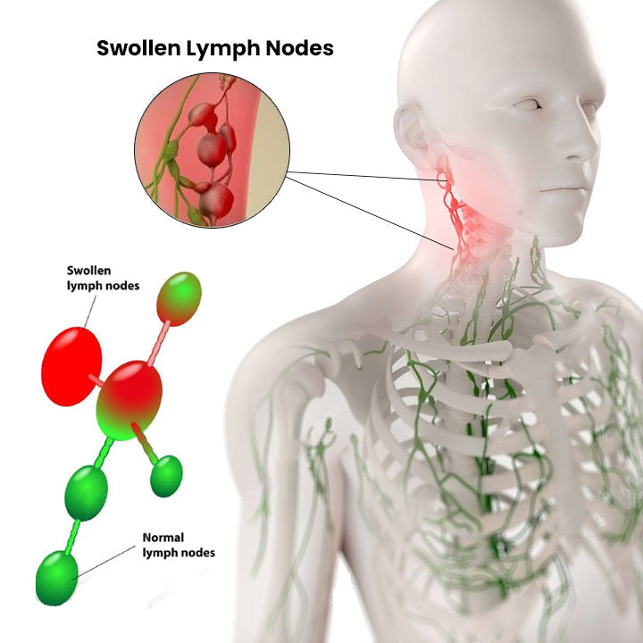 Bodiluvs Lymphdrainage Kräuter-Duschgel