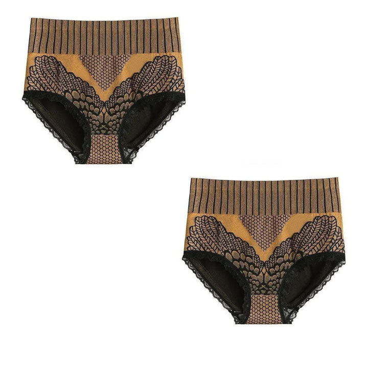 Fivfivgo™ Graphene Fiber Restoration High Waist Briefs