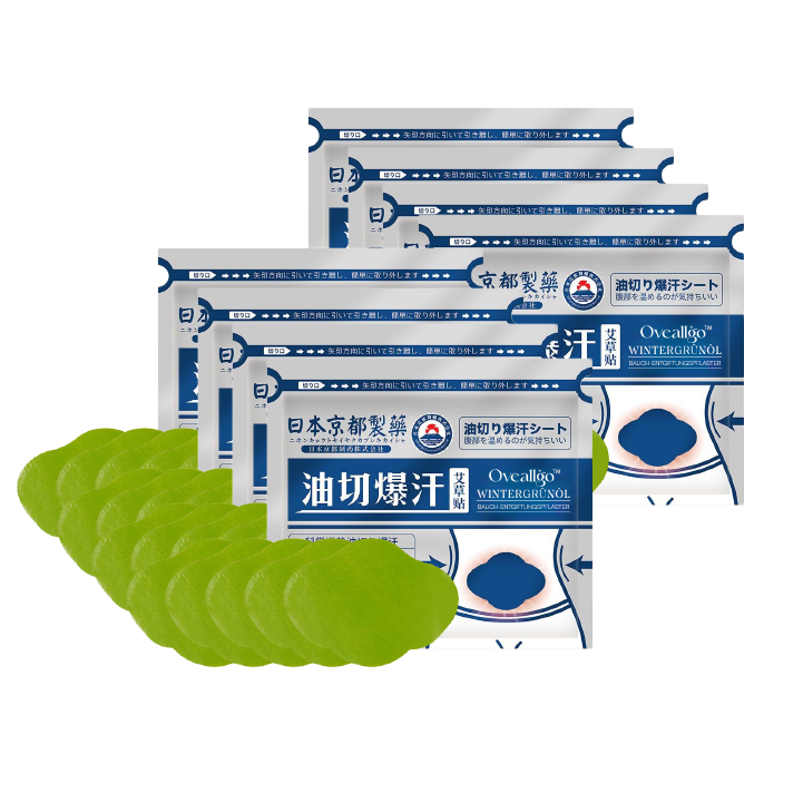 Fivfivgo™ Japan Infrarot Suana Therapie Wintergrün Entgiftungspflaster